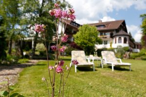 Garten des Waldblick Hotels Kniebis